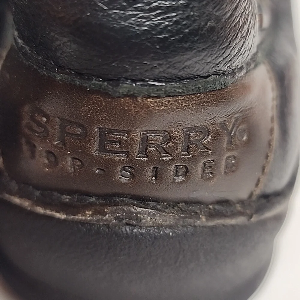 Sperry speery mens